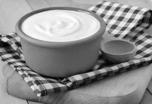 Plain Dahi