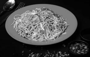 Veg Hakka Noodles