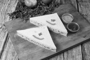 Cheese Tomato Veg Sandwich