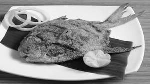 Pomfret Rawa Tawa Fry