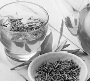 Green tea (100 ml)