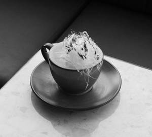 Bounty Cappucino