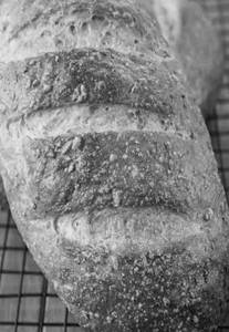 Whole Wheat Bread