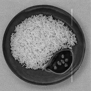 Plain rice plate [full]