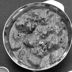 Sabji