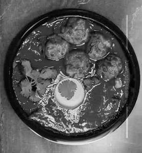 Veg Kofta