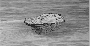 Butter Roti