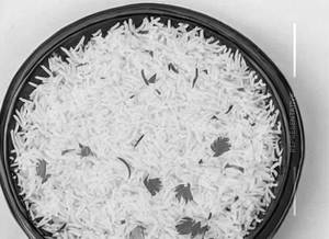 Plain Basmati Rice [Full]