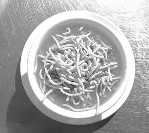Manchu Soup Veg