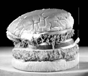 Mexican Burger