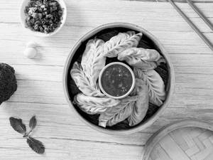 Basil Chicken Wheat Steamos