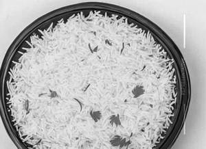 Plain Basmati Rice [Half]