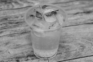 Mint mojito