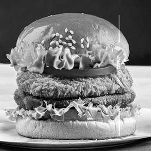 Chicken Burger                                       
