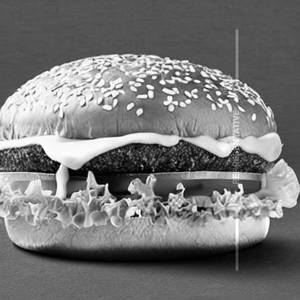 Chicken Cheese Burger