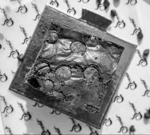 Double Choco Chip Brownie