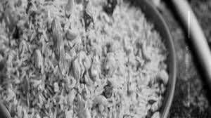 Cashew Nut Fried Rice
