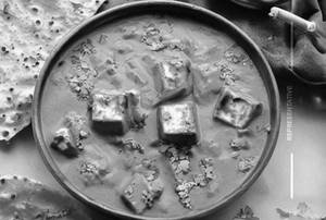 Paneer Butter Masala