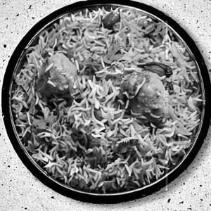 Veg handi Briyani
