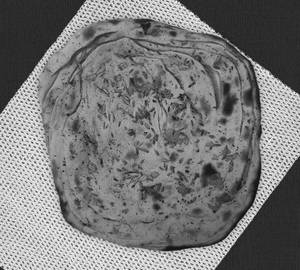 Kulcha [full]