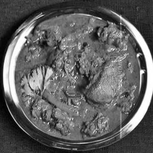 Mutton Kali Mirch