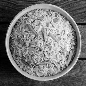Vegetable Fried Rice Vegetable