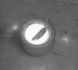 Plain Curd