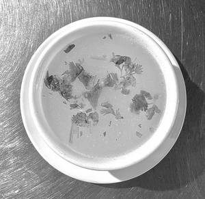 Chicken Clear Soup