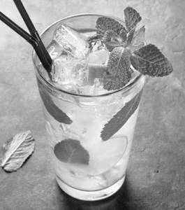 Fizi mojito