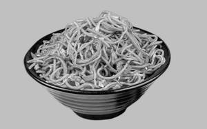 Veg Schezwan Noodles