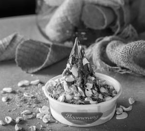 Hot Fudge Nut Sundae Icecream