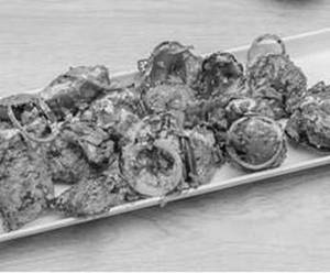 Tandoori Platter