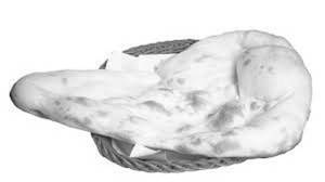 Naan Plain