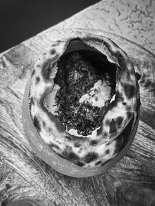 Matki Chicken (chef's Special)