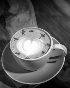Saffron Cardamom Latte