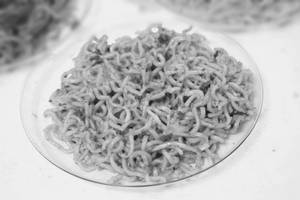 Plain Maggi   