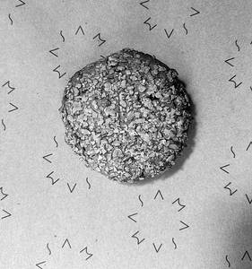 Oat Cookie