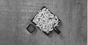 Classic Salted Fries