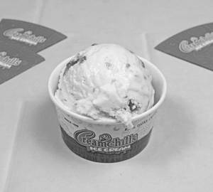Anjeer Delight Sugar Less Ice Cream