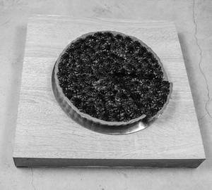 Chocolate Tart [ 1Pc ]