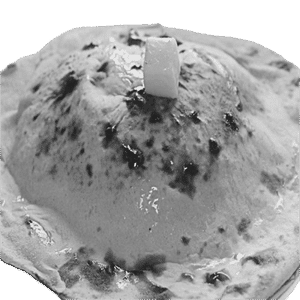 Butter Roti