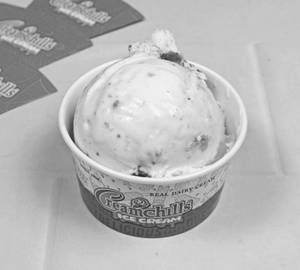 Anjeer Delight ( Scoop )