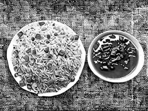 Triple Schezwan Fried Rice