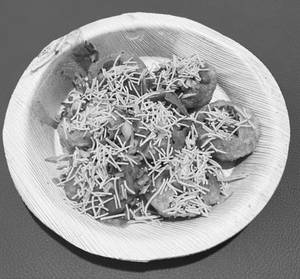Veg Aloo Puri