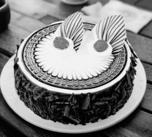 Black forest cake special