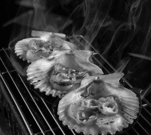 Scallop Tiradito Robata