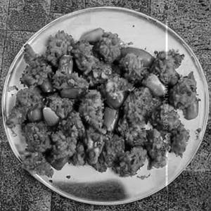 Veg Crispy      