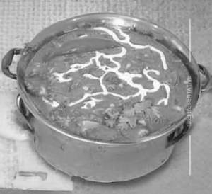 Veg Handi