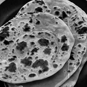 Paratha
