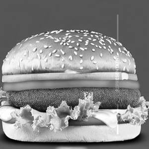 Twin Twist Burger
